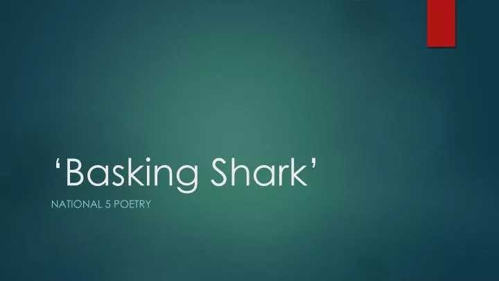 basking shark