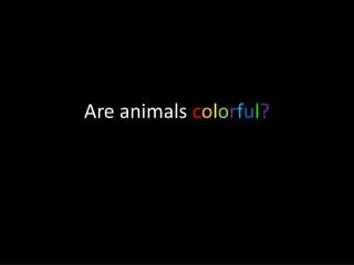 Are animals c o l o r f u l ?