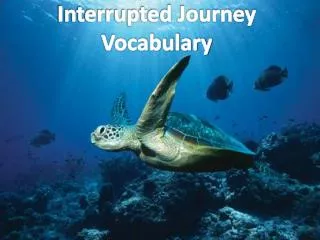 Interrupted Journey Vocabulary