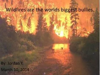Wildfires are the worlds biggest bullies.