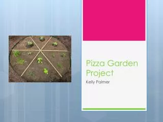 Pizza Garden Project
