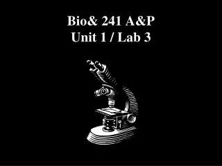 Bio&amp; 241 A&amp;P Unit 1 / Lab 3