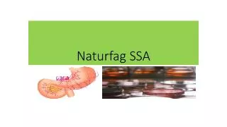 naturfag ssa