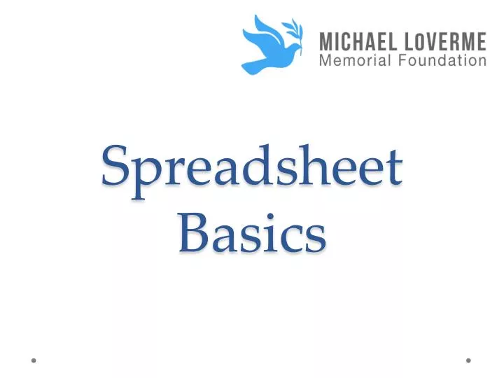 spreadsheet basics