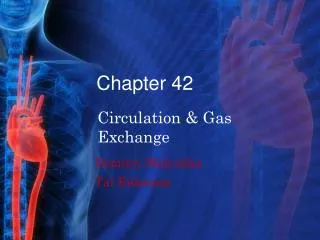 chapter 42