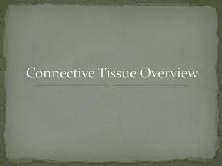 Connective Tissue Overview