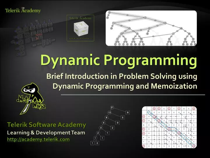 dynamic programming