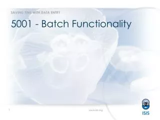 5001 - Batch Functionality