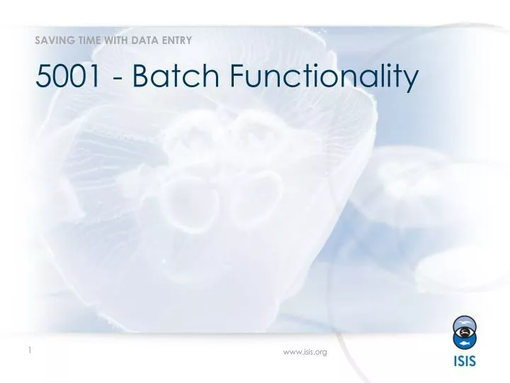 5001 batch functionality