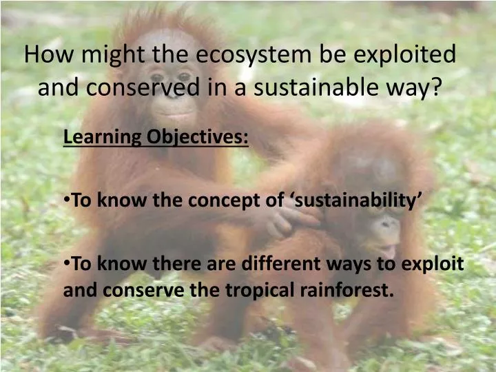 how might the ecosystem be exploited and conserved in a sustainable way