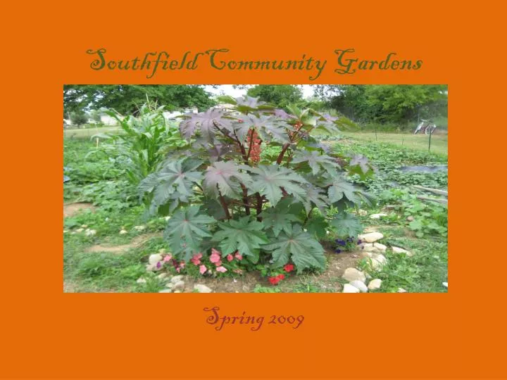 southfield community gardens