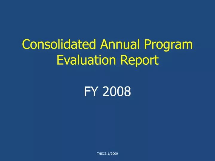 consolidated annual program evaluation report fy 2008