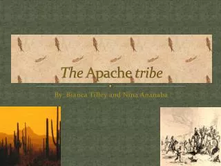 The Apache tribe