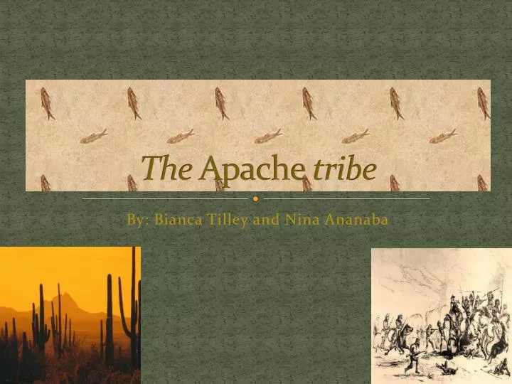 the apache tribe