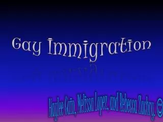 Gay Immigration