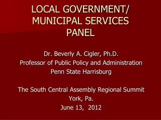 LOCAL GOVERNMENT/ MUNICIPAL SERVICES PANEL
