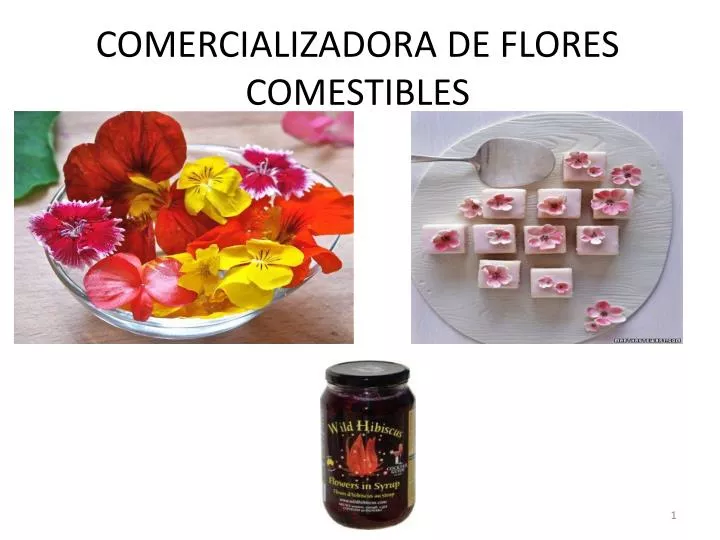 comercializadora de flores comestibles