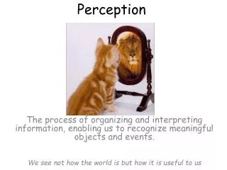 Perception