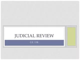 judicial review