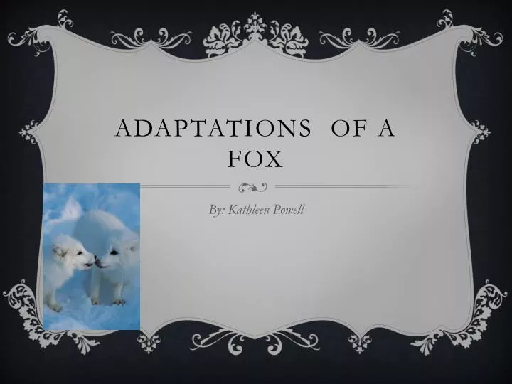 adaptations of a fox