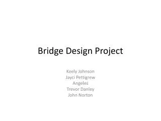 Bridge Design Project