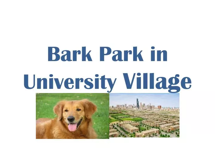bark park in university village