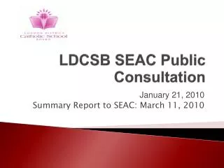 LDCSB SEAC Public Consultation