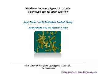 Multilocus Sequence Typing of bacteria: a genotypic tool for strain selection
