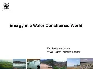 Dr. Joerg Hartmann WWF Dams Initiative Leader