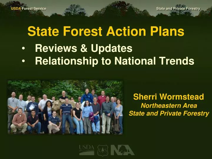 state forest action plans