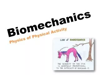 Biomechanics Physics of Physical Activity