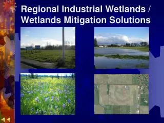 Regional Industrial Wetlands / Wetlands Mitigation Solutions