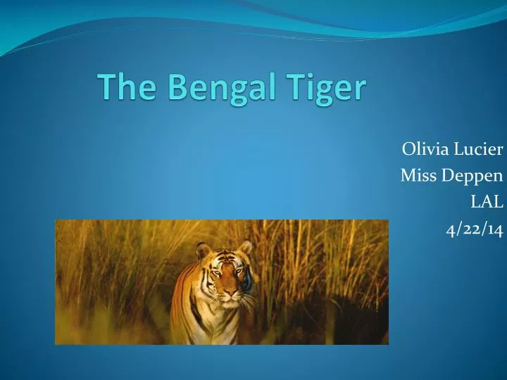 the bengal tiger