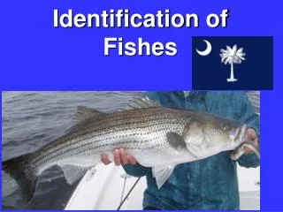 Identification of Fishes