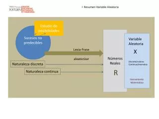 i resumen variable aleatoria