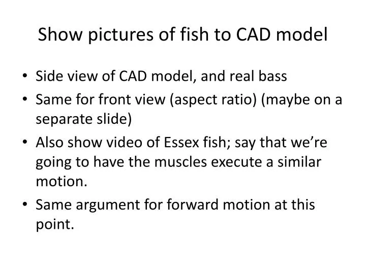 show pictures of fish to cad model