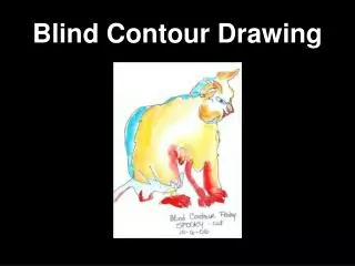 Blind Contour Drawing