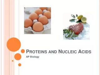 proteins and nucleic acids