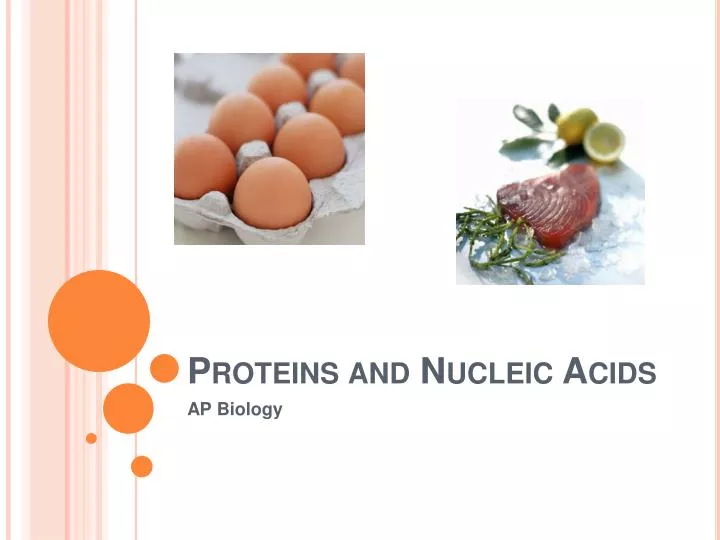 proteins and nucleic acids