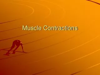 Muscle Contractions