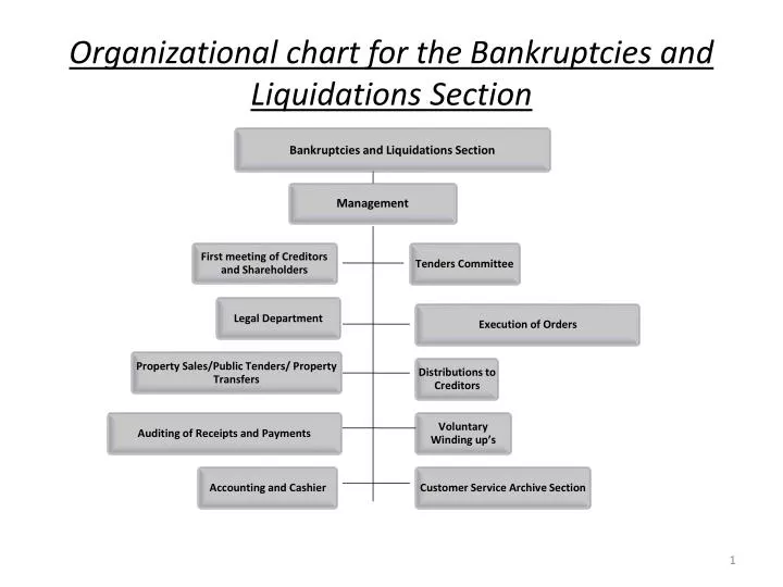 organizational chart for the bankruptcies and liquidations section