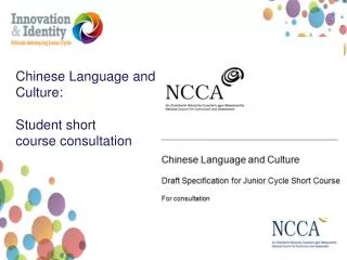 Chinese Language and Culture: Student short course consultation