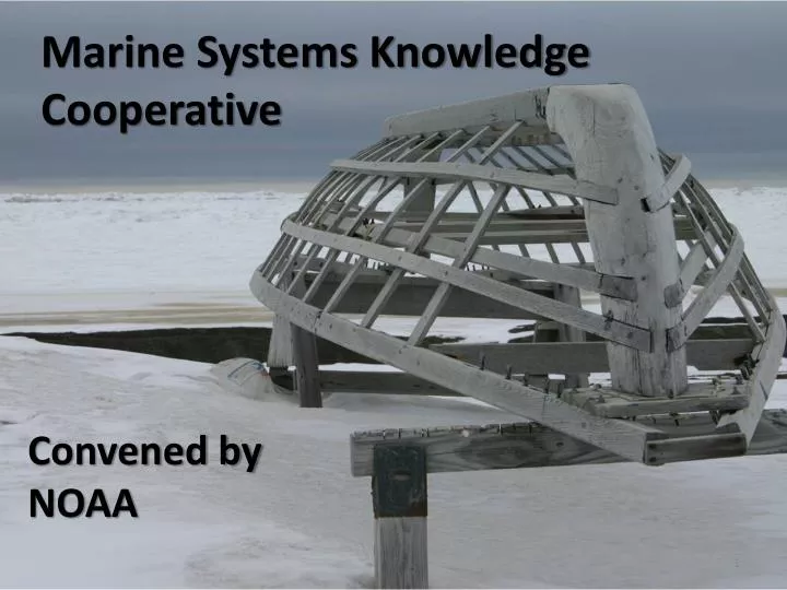 marine systems knowledge cooperative