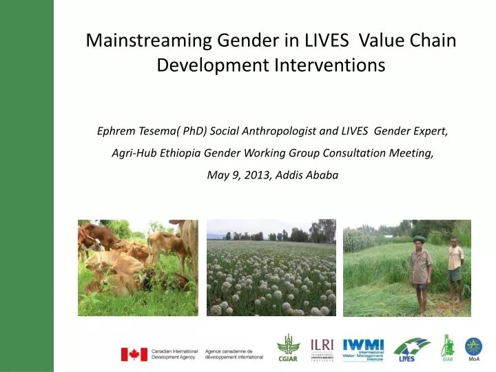 mainstreaming gender in lives value chain development interventions