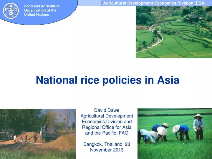 national rice policies in asia