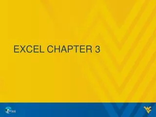 excel chapter 3
