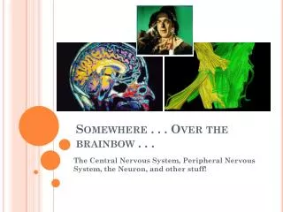 Somewhere . . . Over the brainbow . . .