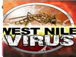 What is West Nile virus?