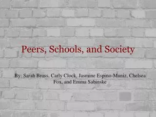 Peers, Schools, and Society