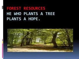 Forest resources He who plants a tree plants a hope.